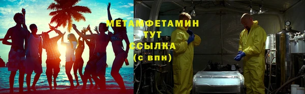 индика Михайловск