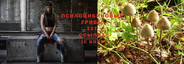 а пвп мука Медвежьегорск