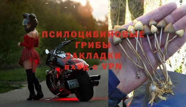 скорость Медногорск